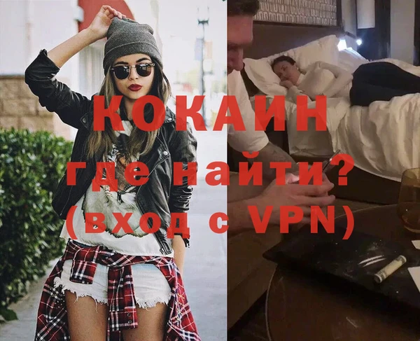 трава Ельня