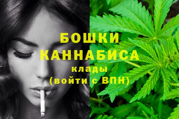 трава Ельня