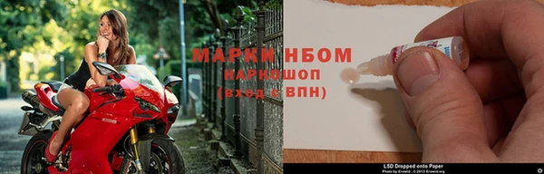 стафф Заволжск