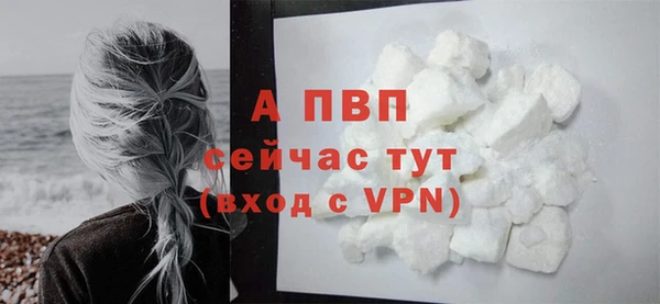 стафф Заволжск