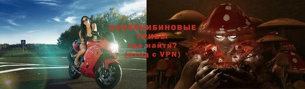 стафф Заволжск