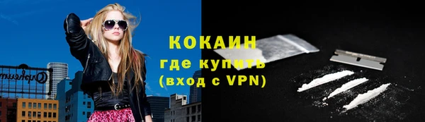 трава Ельня