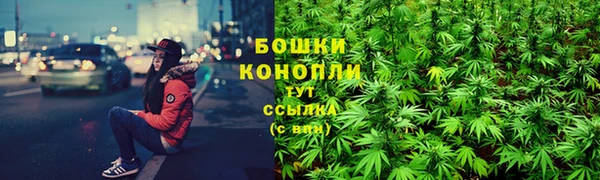 прущая мука Лиски