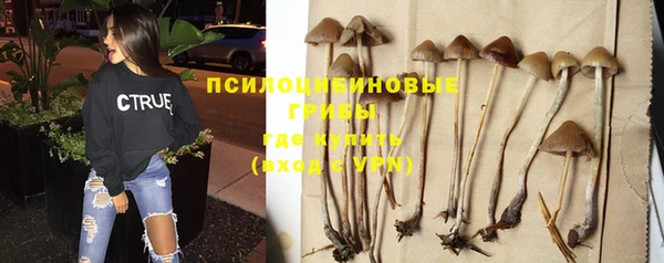 Альфа ПВП Янаул