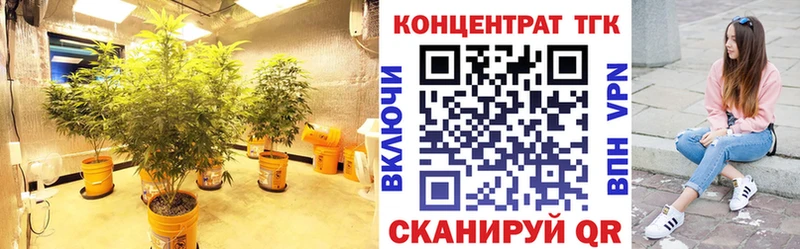 Дистиллят ТГК гашишное масло  купить  сайты  Заозёрск 