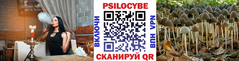 где купить   Заозёрск  Галлюциногенные грибы Psilocybe 